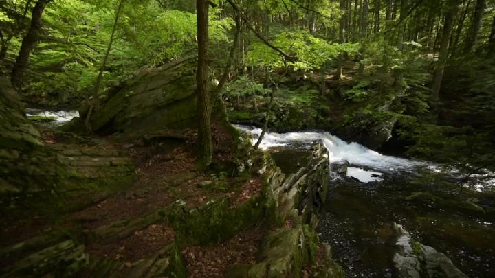 Thumbnail image for Cablecast_TestFootageCompilation